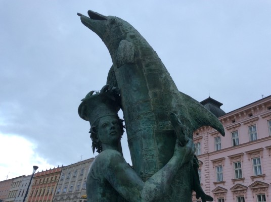Dolphin Love in Olomouc